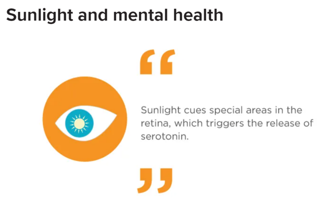 「Zoom University防Emo专业指南」 「Zoom University防Emo专业指南」