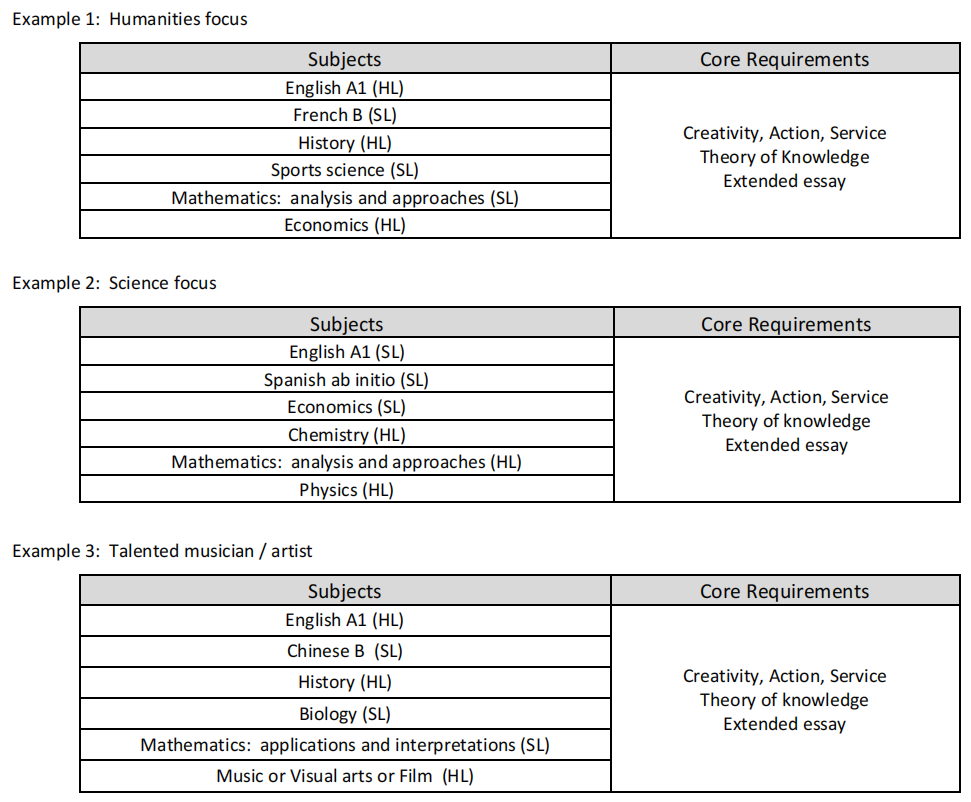 仅以升学为目标,准IB学生如何选课? 仅以升学为目标,准IB学生如何选课?