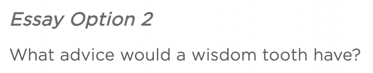 “烧脑”还是“中二”?如何破解芝大文书? “烧脑”还是“中二”?如何破解芝大文书?
