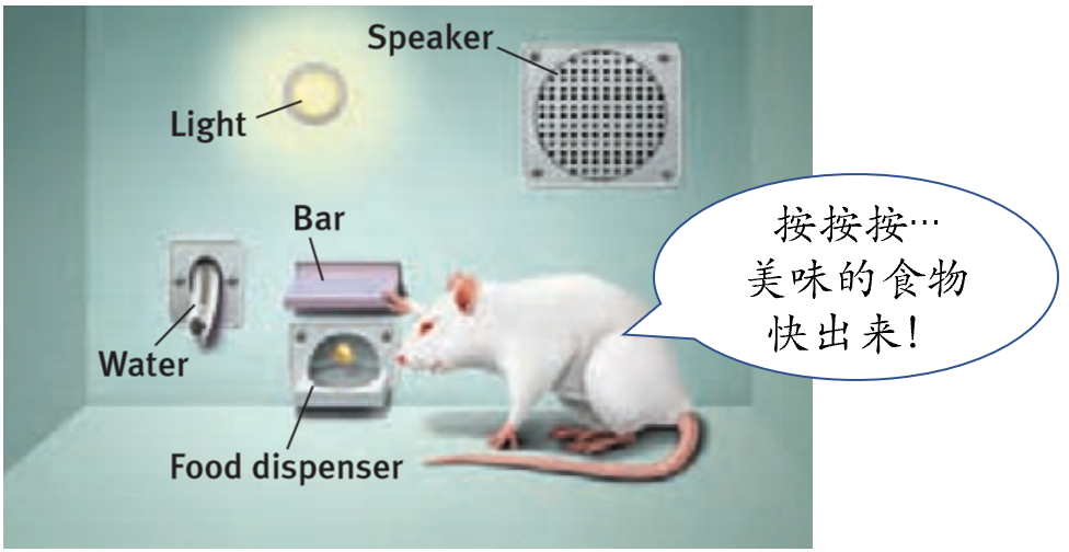 开学两个月,AP心理已经学懵了? 开学两个月,AP心理已经学懵了?
