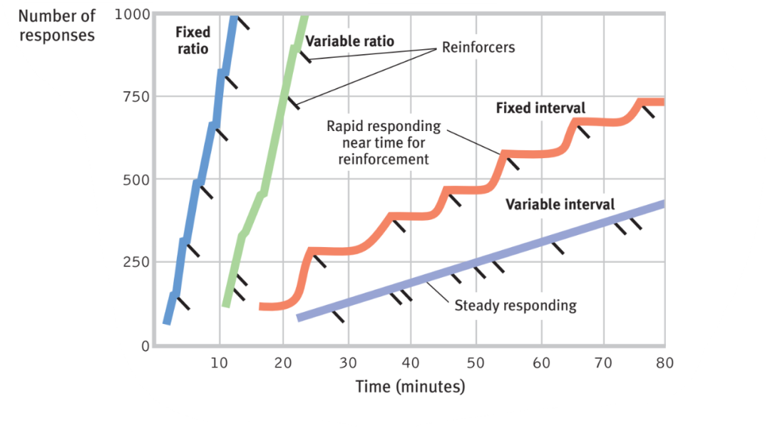 开学两个月,AP心理已经学懵了? 开学两个月,AP心理已经学懵了?