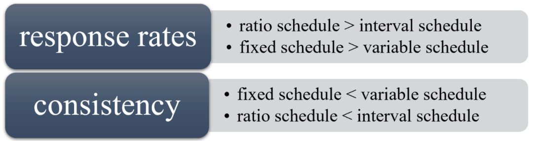 开学两个月,AP心理已经学懵了? 开学两个月,AP心理已经学懵了?