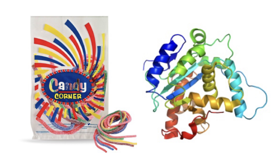 A-level生物难拿A?这份提分技巧请收好! A-level生物难拿A?这份提分技巧请收好!