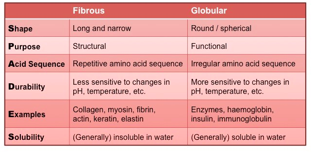 A-level生物难拿A?这份提分技巧请收好! A-level生物难拿A?这份提分技巧请收好!
