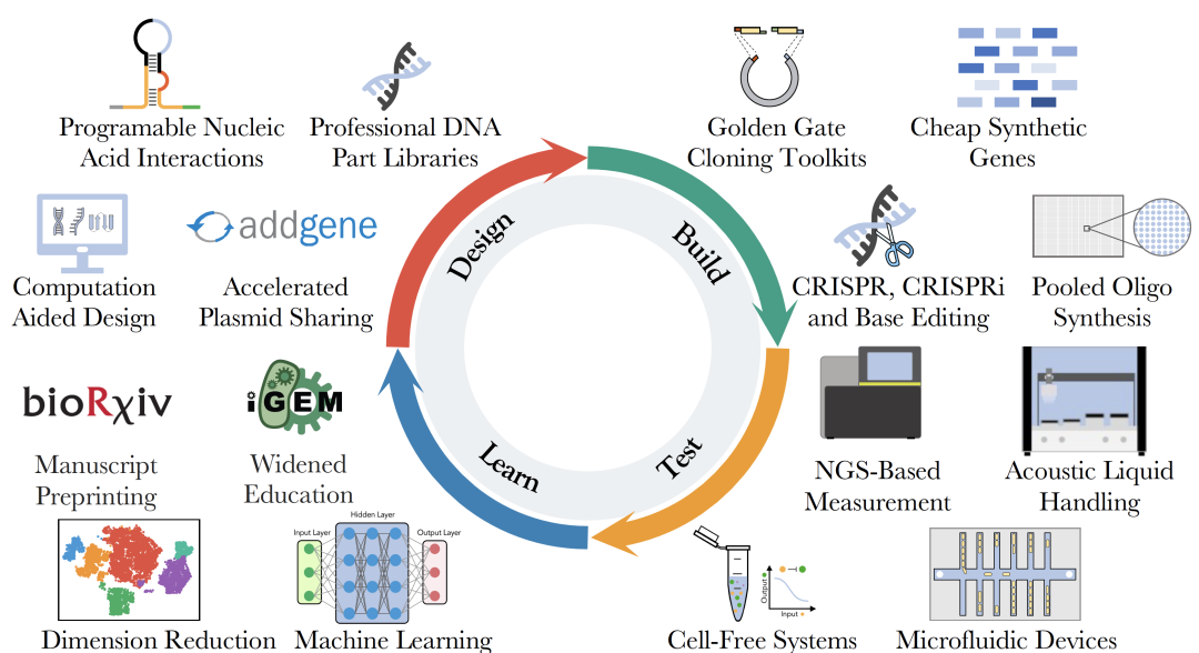 SquirrelHub | 从“格物”到“造物”,合成生物学何以进击蓝海产业? SquirrelHub | 从“格物”到“造物”,合成生物学何以进击蓝海产业?