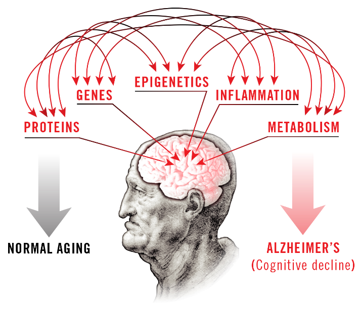 《柳叶刀》揭秘,什么是“超级老人”? 《柳叶刀》揭秘,什么是“超级老人”?