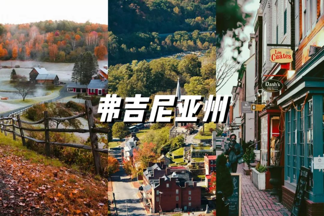 美国热门留学八大州最强攻略!建议收藏 美国热门留学八大州最强攻略!建议收藏