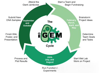 iGEM比赛——合成生物学领域天花板,暑期iGEM培训开启! iGEM比赛——合成生物学领域天花板,暑期iGEM培训开启!