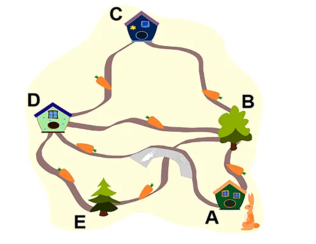 Bebras夏季测评报名启动!计算思维——通向AI时代的钥匙 Bebras夏季测评报名启动!计算思维——通向AI时代的钥匙