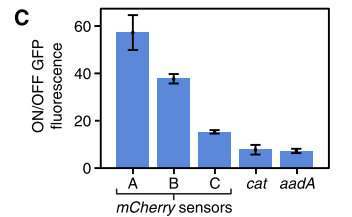 iGEM文献分享——Toehold Switches iGEM文献分享——Toehold Switches