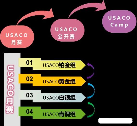 USACO竞赛语言怎么选?USACO做题步骤详解,USACO竞赛班型课程 USACO竞赛语言怎么选?USACO做题步骤详解,USACO竞赛班型课程
