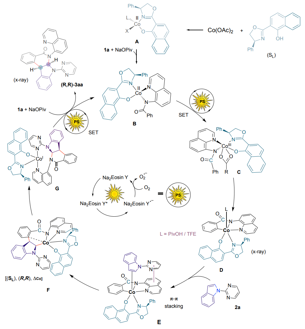 Angew: 两篇一模一样的方法学文章,比较一下 Angew: 两篇一模一样的方法学文章,比较一下