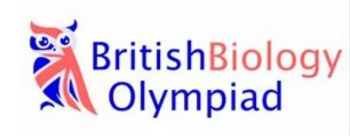 北上广深国际学校的学生,原来都在卷这些竞赛! 北上广深国际学校的学生,原来都在卷这些竞赛!