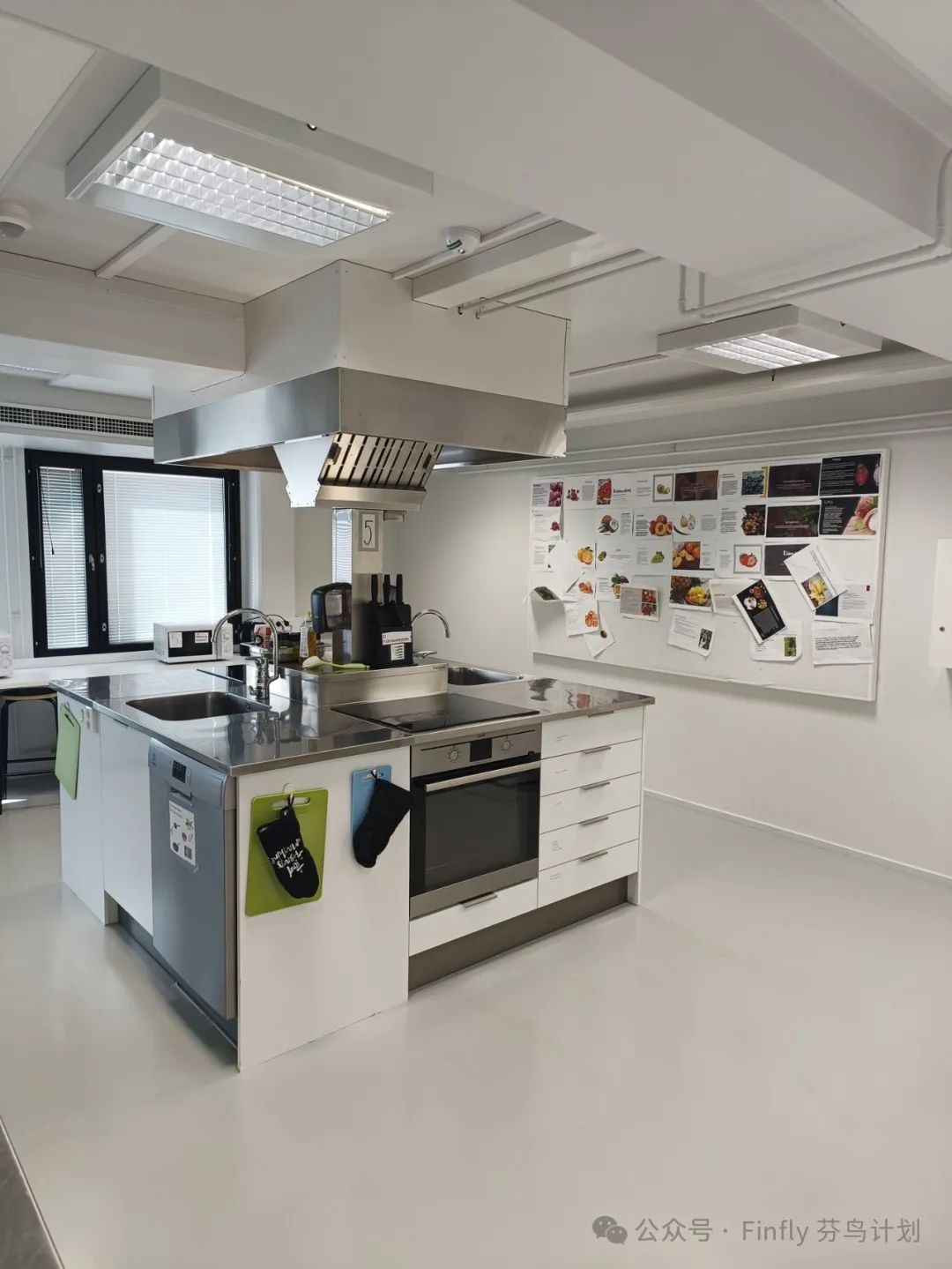 新篇章·新旅程 —— 图尔库IB高中迎来首位中国学生 新篇章·新旅程 —— 图尔库IB高中迎来首位中国学生