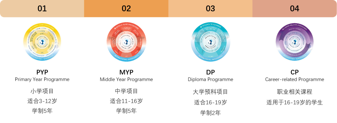 秋季MYP数学辅导课程