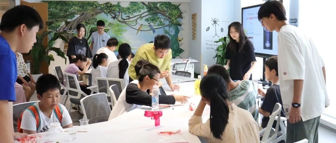 2024 iGEM备赛团队真实情况分享