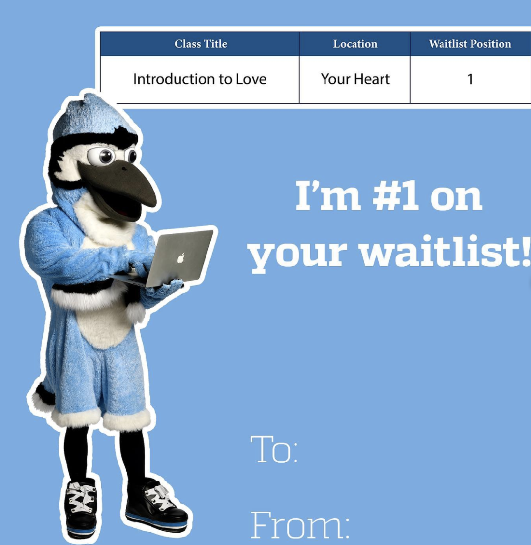 GAUDI AO 视角｜关于JHU最全面客观的录取分析