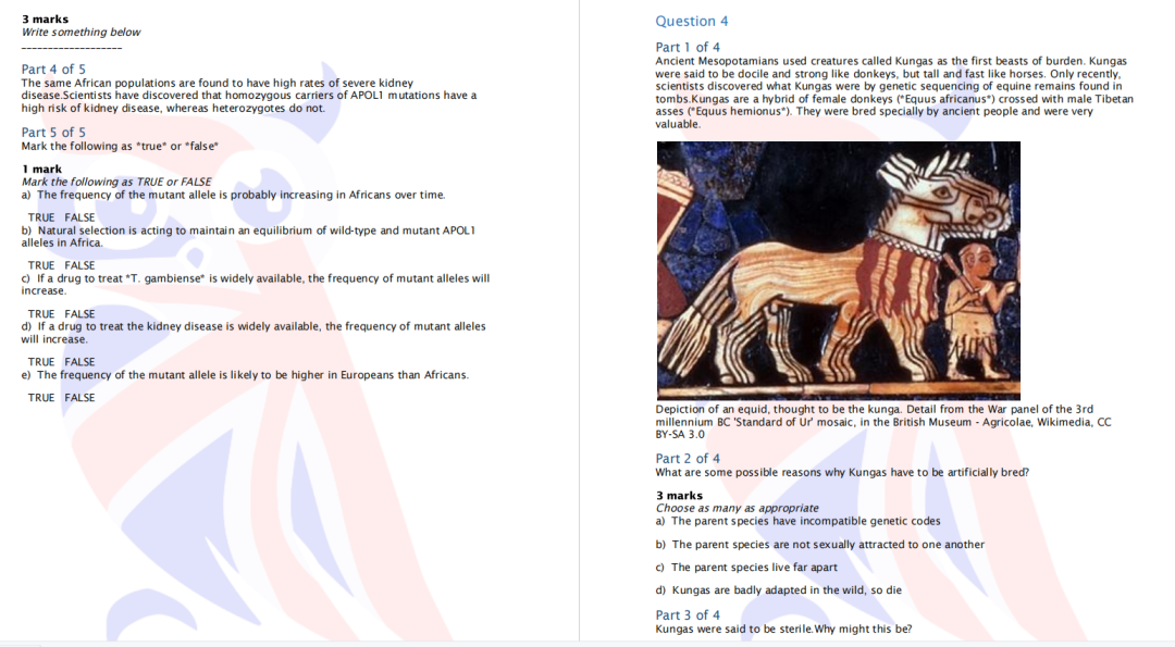 2023年BBO生物竞赛报名即将截止！BBO竞赛考试大纲