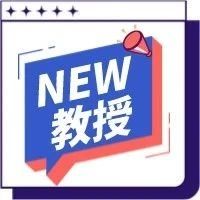 线上1V1学术科研项目：伦敦大学学院终身教授项目推荐