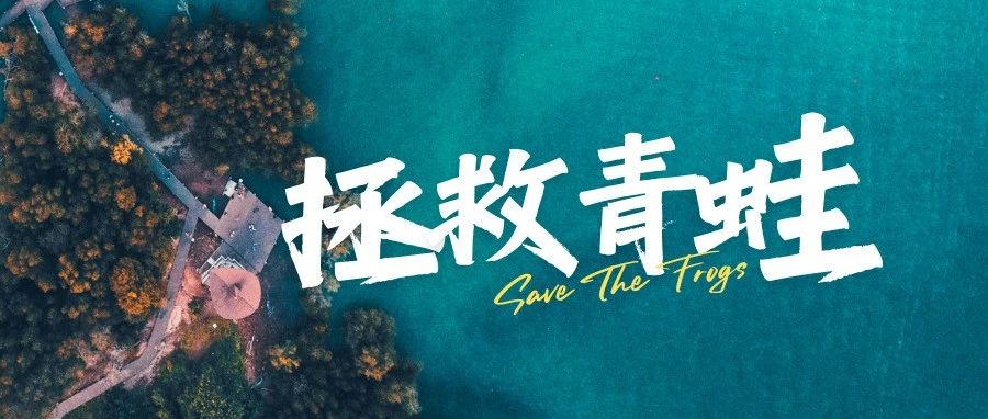 SAVE THE FROGS拯救青蛙艺术大赛国际艺术竞赛介绍