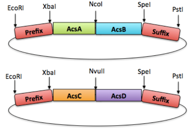 Aqualose-帝国理工学院2014年iGEM课题项目简介