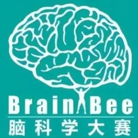 12本高中生国际生物竞赛电子版书籍，BBO、Brain Bee、USABO、HOSA考前必备！附机构生物竞赛辅导课程