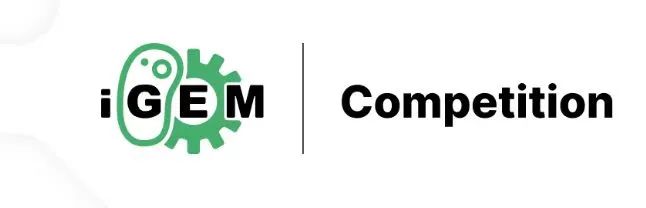 iGEM生物竞赛一文详解！iGEM团队分组设置是怎样的？
