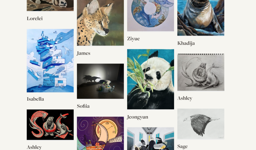 艺术留学必看！到底有哪些值得参加的比赛？